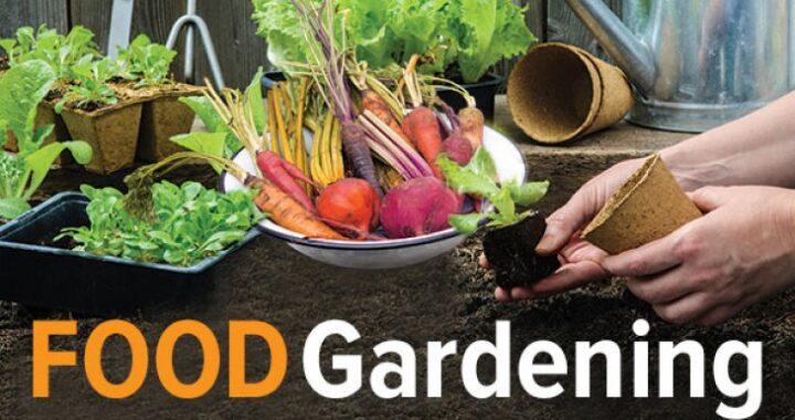 How to Grow Anything: Food Gardening for Everyone