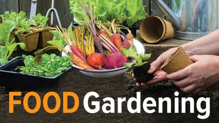 How to Grow Anything: Food Gardening for Everyone 5e9902f270bd1.jpeg
